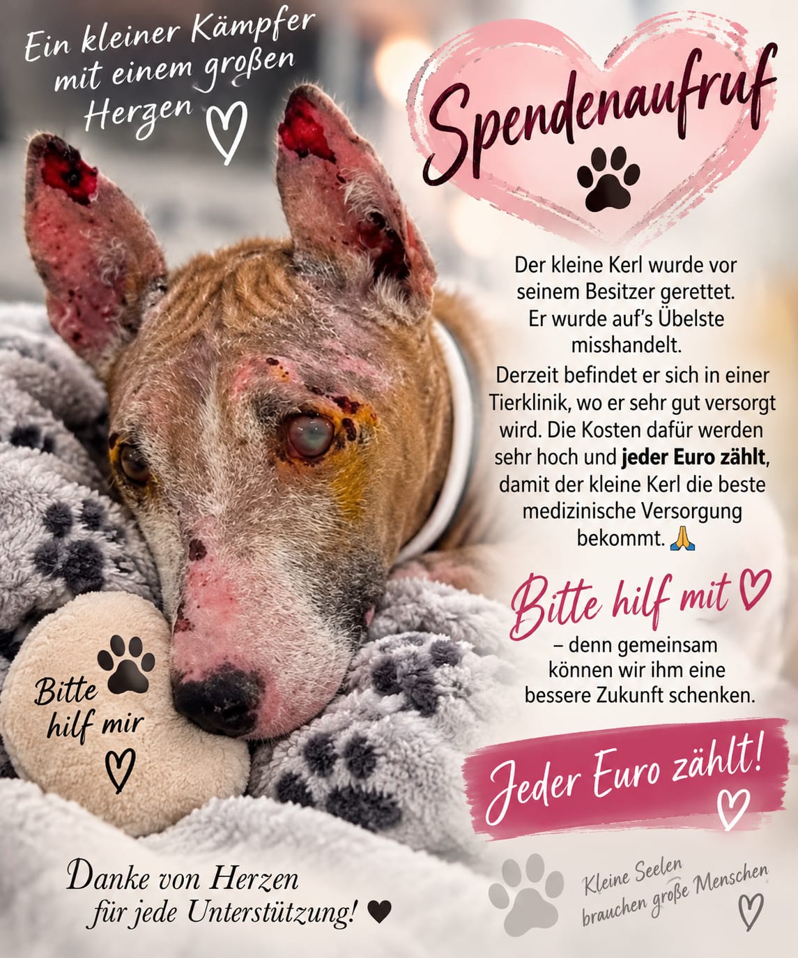 Ein kleiner Kämpfer mit einem großen Herzen - SPENDENAUFRUF